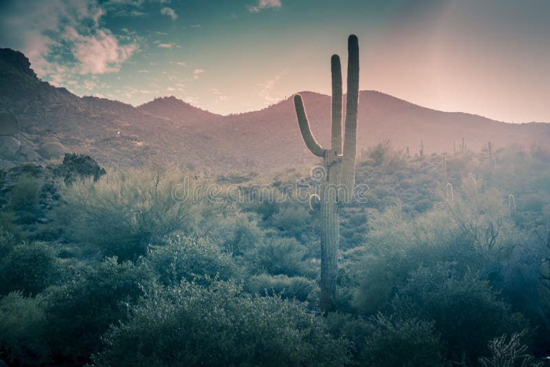 Abandonnez la pluie Phoenix, Arizona, Etats-Unis de paysage image stock Abandonnez la pluie Phoenix, Arizona, Etats-Unis de paysage image stock
