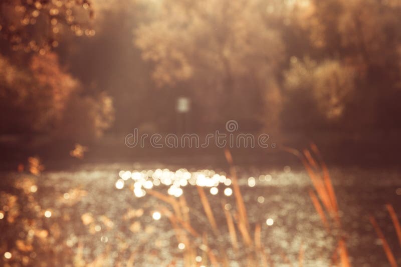 Abbagli dal sole sull'acqua nell'immagine vaga stagno del fondo della natura degli alberi immagine stock Abbagli dal sole sull'acqua nell'immagine vaga stagno del fondo della natura degli alberi immagine stock