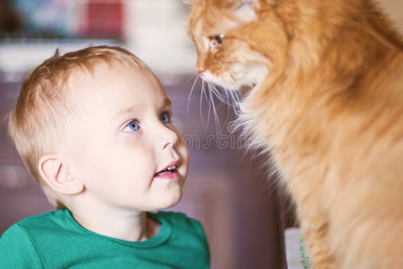 Abbastanza poco neonato caucasico con peli biondi, gli occhi azzurri luminosi e lo sguardo rosso del gatto ad a vicenda immagini stock libere da diritti Abbastanza poco neonato caucasico con peli biondi, gli occhi azzurri luminosi e lo sguardo rosso del gatto ad a vicenda immagini stock libere da diritti
