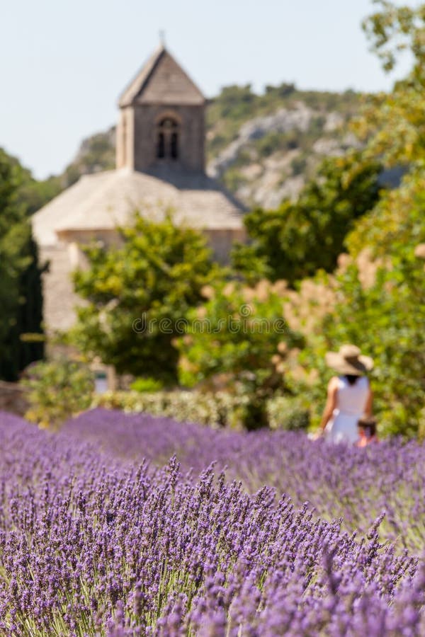 Abbaye de Sénanque with lavender field, Provence, France stock photos Abbaye de Sénanque with lavender field, Provence, France stock photos