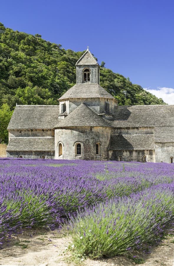 Abbey of Senanque and blooming rows lavender flowers. Gordes, Luberon, Vaucluse, Provence, France. Abbey of Senanque and blooming rows lavender flowers. Gordes, Luberon, Vaucluse, Provence, France.