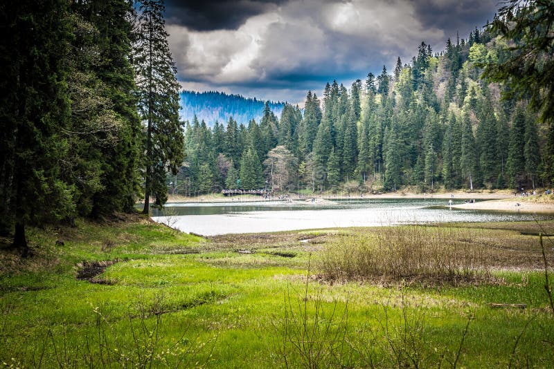 Abbellisca, il giorno piovoso in una foresta vicino al lago fotografia stock libera da diritti Abbellisca, il giorno piovoso in una foresta vicino al lago fotografia stock libera da diritti