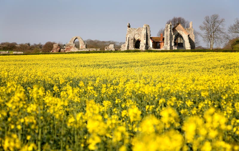 abbeyleistonsuffolk royaltyfri foto abbeyleistonsuffolk royaltyfri foto