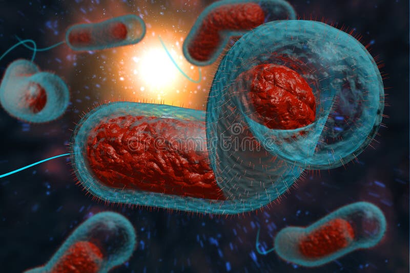 Close up 3D illustration of microscopic Cholera bacteria infection. Close up 3D illustration of microscopic Cholera bacteria infection