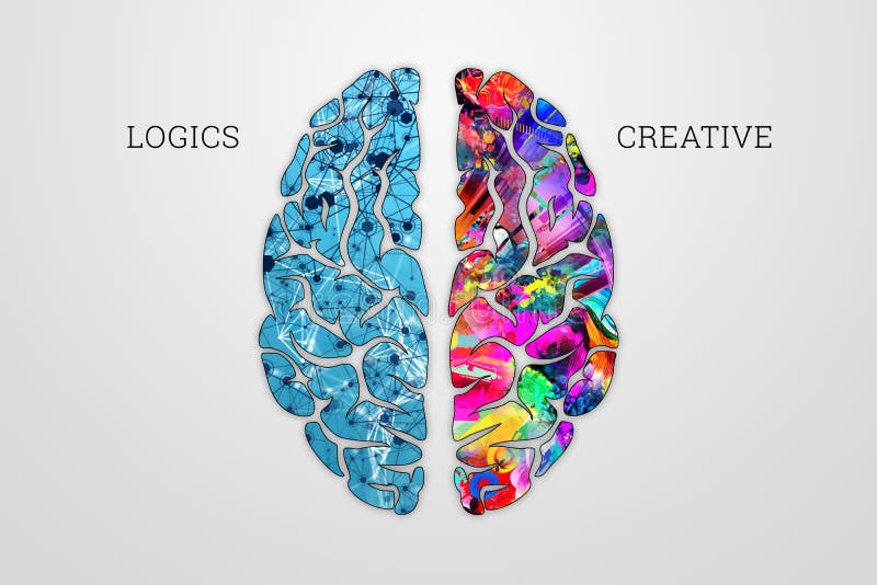 Abbildung einer menschlichen Gehirnübersicht. verschiedene Hälften des menschlichen Gehirns. die kreative und logische Hälfte des