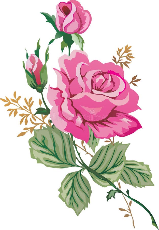 Abbildung mit rosafarbenen Rosen vektor abbildung