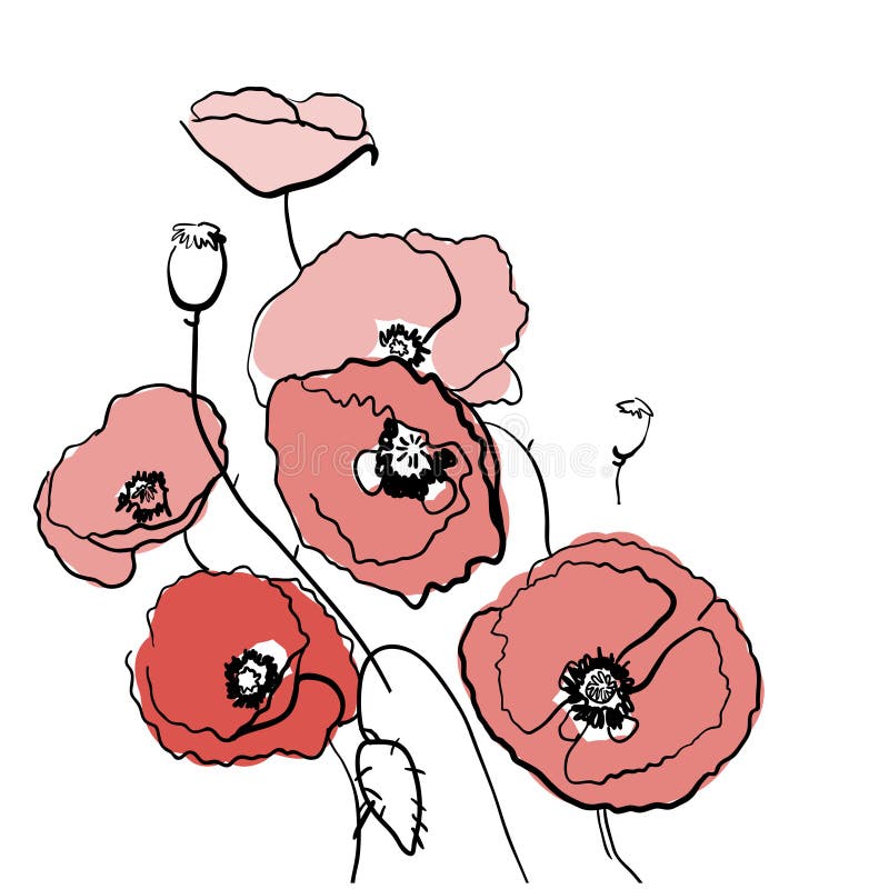 Abbozzo del fiore del papavero illustrazione di stock Abbozzo del fiore del papavero illustrazione di stock