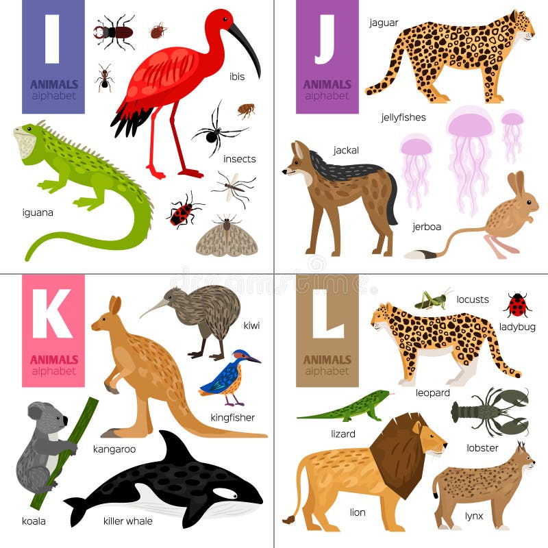 Abc Animals. Cute Vector Zoo Alphabet. Stock Vector - Illustration of  kingfisher, lizard: 229765544