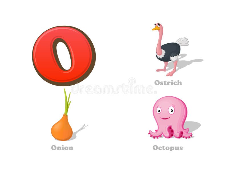 ABC letra los iconos divertidos del niño de O fijados: avestruz, cebolla, pulpo libre illustration