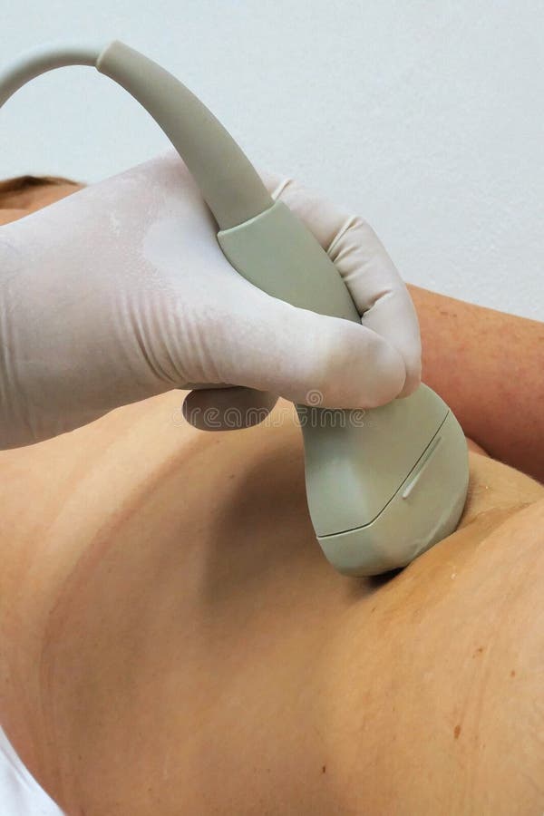 Convex Abdominal Ultrasound Probe in Left Hand Stock Photo Image of