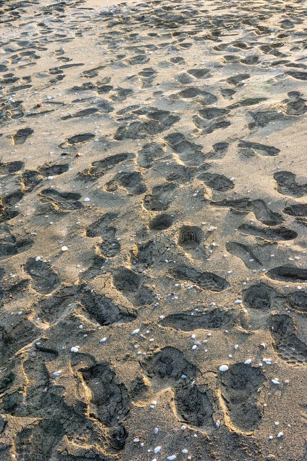 Abdrücke im Sand das Schwarze Meer, Bulgarien