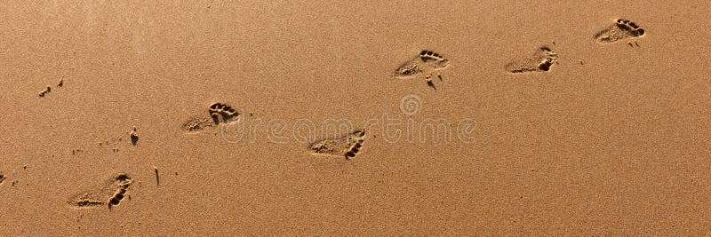 Abdrücke vom Kind auf sandigem Strand lizenzfreie stockfotografie Abdrücke vom Kind auf sandigem Strand lizenzfreie stockfotografie