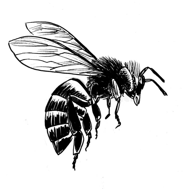 Abeille de vol illustration de vecteur Abeille de vol illustration de vecteur