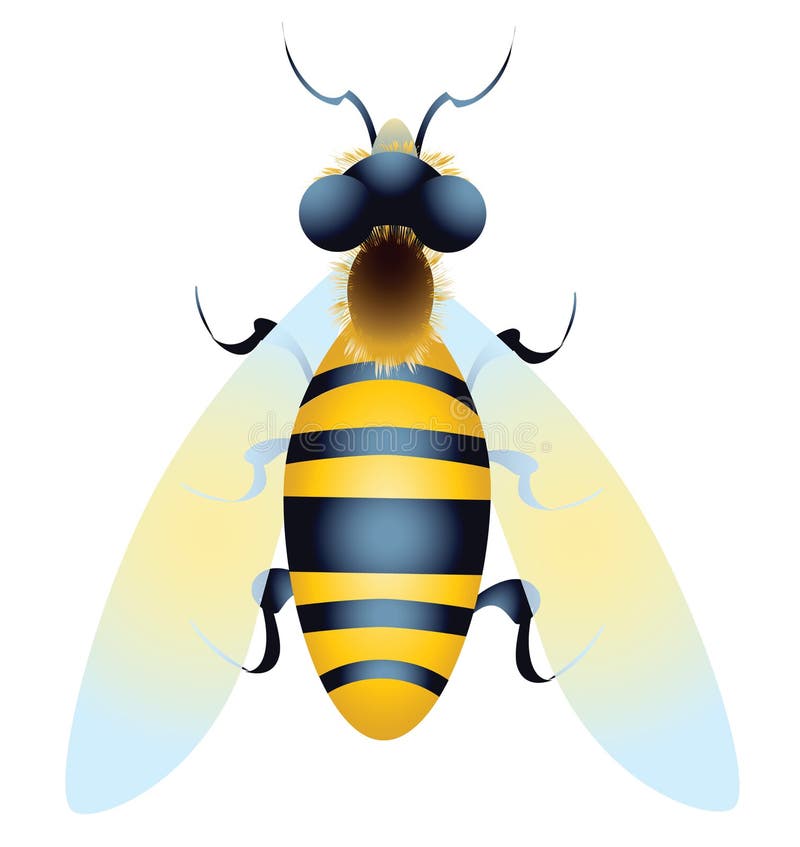  Abeja stock de ilustración
