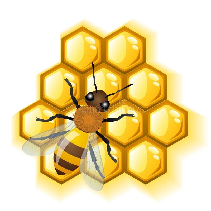 Abeja con la miel