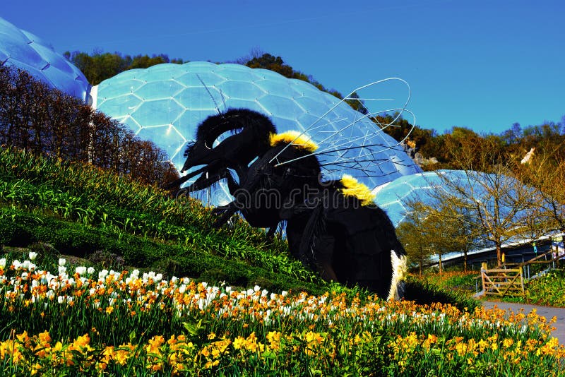 The Eden Project is a visitor attraction in Cornwall, England, United Kingdom. Inside the artificial biodomes are plants that are collected from all around the world. The Eden Project is a visitor attraction in Cornwall, England, United Kingdom. Inside the artificial biodomes are plants that are collected from all around the world.