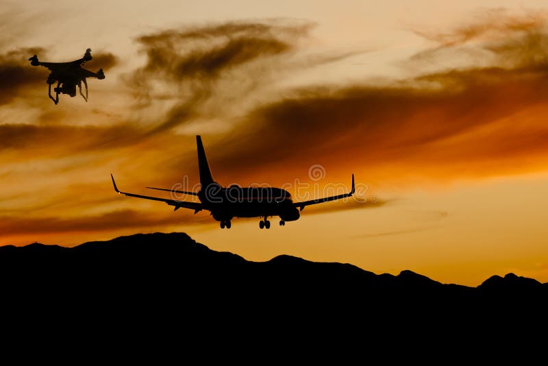 Abejón ilegal cerca de un aterrizaje de aviones en la puesta del sol foto de archivo Abejón ilegal cerca de un aterrizaje de aviones en la puesta del sol foto de archivo