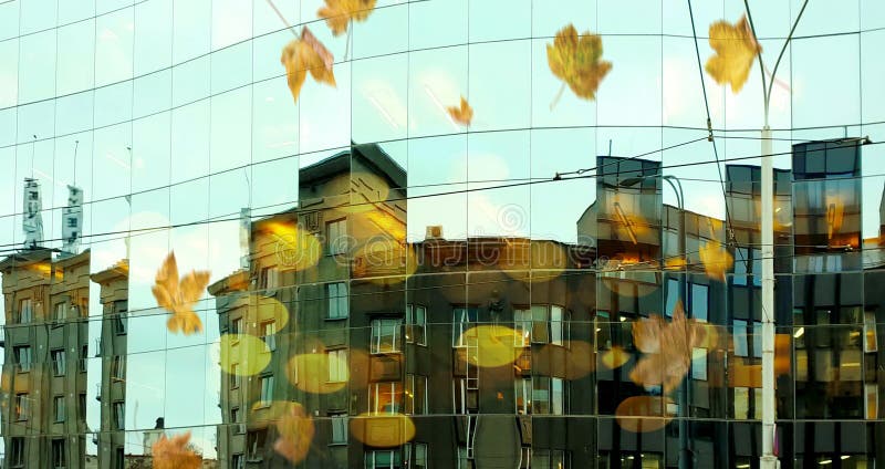 Abends Stadtstraße auf der Vorderseite moderne Fassaden Gebäude Licht reflektiert die Fenster blau verwischt auf lizenzfreie stockfotos Abends Stadtstraße auf der Vorderseite moderne Fassaden Gebäude Licht reflektiert die Fenster blau verwischt auf lizenzfreie stockfotos