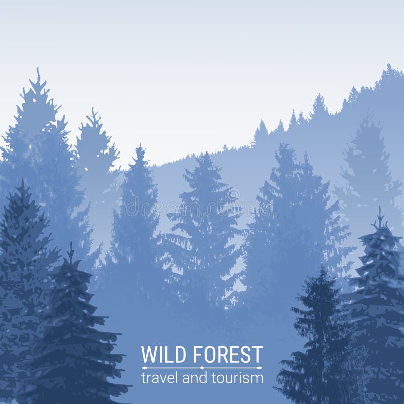 Abeto vermelho azul no embaçamento da névoa Vetor selvagem da floresta Pinho e abeto vermelho nos montes ilustração stock Abeto vermelho azul no embaçamento da névoa Vetor selvagem da floresta Pinho e abeto vermelho nos montes ilustração stock