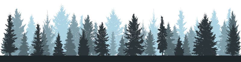 Abetos del bosque del invierno, silueta de la picea en el fondo blanco