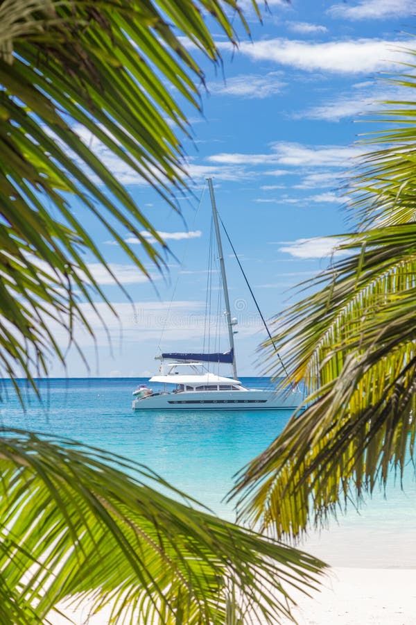 Abflussrinnen-Palme des Katamarans verlässt Segelboot gesehene auf Strand, Seychellen lizenzfreie stockfotos Abflussrinnen-Palme des Katamarans verlässt Segelboot gesehene auf Strand, Seychellen lizenzfreie stockfotos