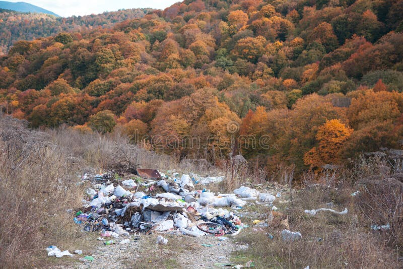 Garbage in landfill near forest - environment pollution. Garbage in landfill near forest - environment pollution.