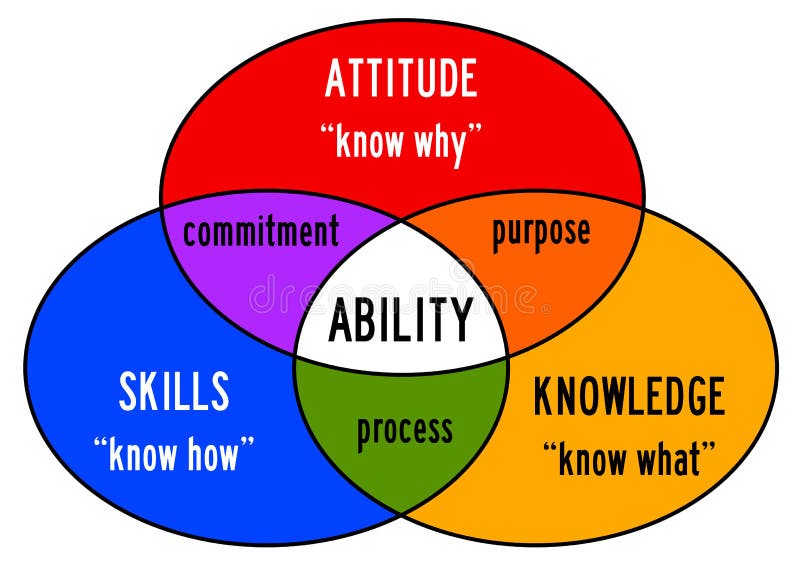 Combinazione di abilità, attitudini e conoscenze in capacità.