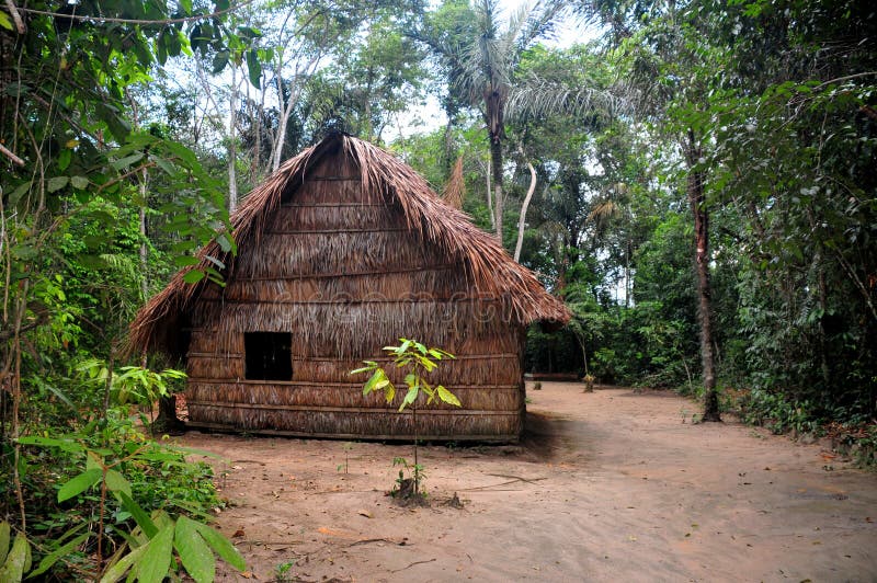 Abitazione tipica della gente natale del amazon