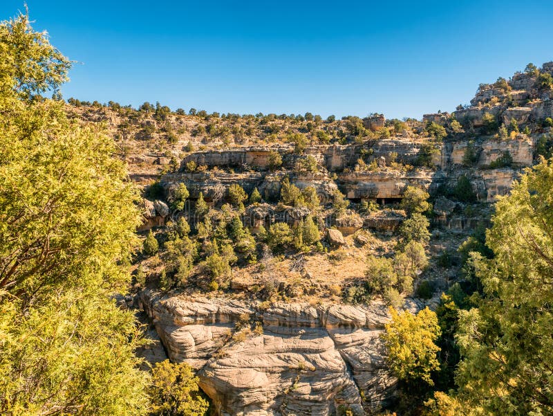 Abitazioni nel monumento nazionale del canyon della noce vicino all'albero per bandiera, immagine stock libera da diritti Abitazioni nel monumento nazionale del canyon della noce vicino all'albero per bandiera, immagine stock libera da diritti