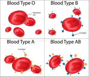 Abo Blood Types Chart