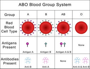 Blood Group Antigen Chart
