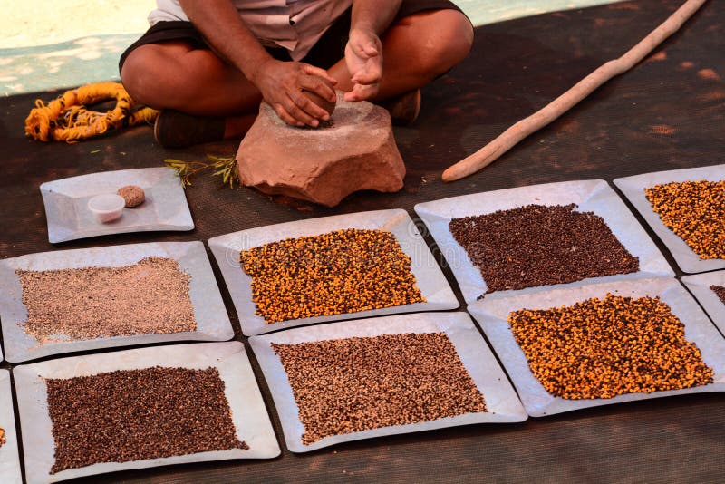 Aboriginal woman milling seeds in a traditional way. Northern Territory. Australia