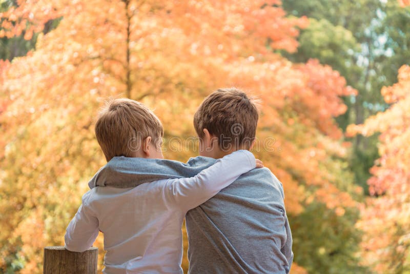 Abrazando A Los Hermanos Que Hablan El Uno Al Otro Imagen de archivo