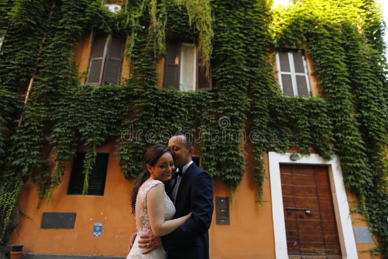 Abraço nupcial bonito dos pares fotografia de stock royalty free