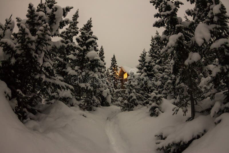 Abrigue o chalé durante uma queda de neve na floresta do inverno das árvores no nig foto de stock Abrigue o chalé durante uma queda de neve na floresta do inverno das árvores no nig foto de stock