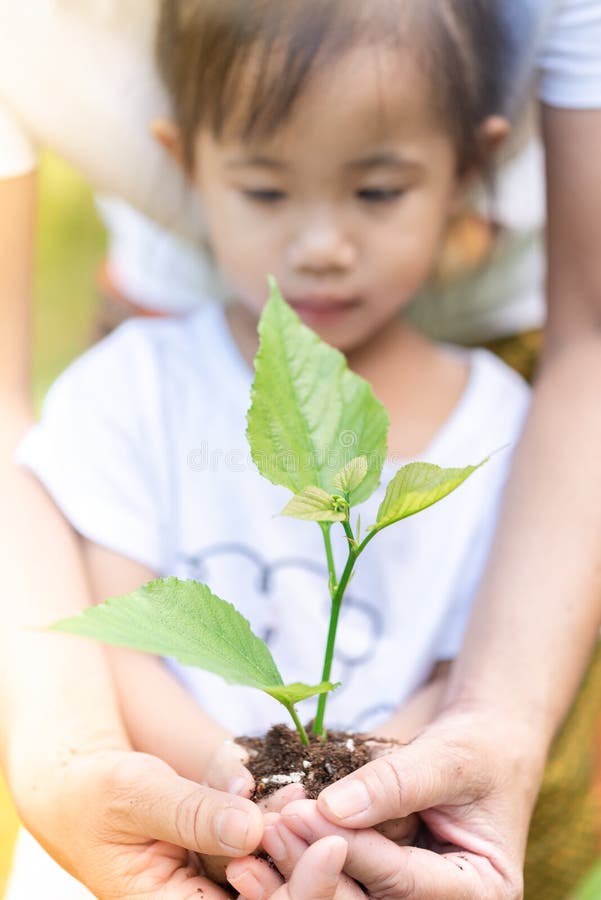 Abschluss herauf die asiatischen Mädchen- und Mutterhände, die Pflänzchen halten, für Plantage sich vorzubereiten lizenzfreie stockbilder Abschluss herauf die asiatischen Mädchen- und Mutterhände, die Pflänzchen halten, für Plantage sich vorzubereiten lizenzfreie stockbilder