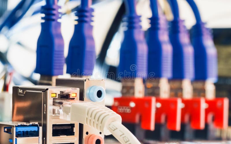 Abschluss oben von RJ45 UTP LAN Cable schließen an Cryptocurrency-Bergbau an lizenzfreie stockbilder Abschluss oben von RJ45 UTP LAN Cable schließen an Cryptocurrency-Bergbau an lizenzfreie stockbilder