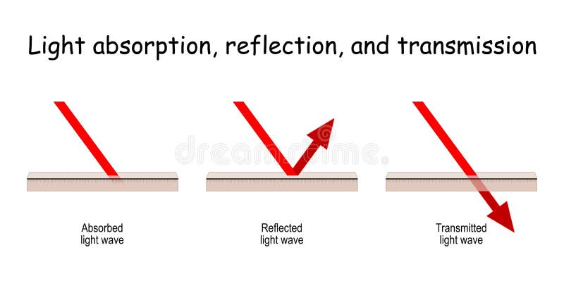 Absorption, Reflection, and Transmission of waves. visible light