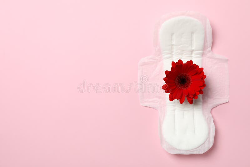 Absorvente Branca Com Flores De Peões Sobre Fundo Rosa. Conceito Positivo  De Corpo. Espaço De Cópia Foto de Stock - Imagem de naughty, ginecologia:  233974560