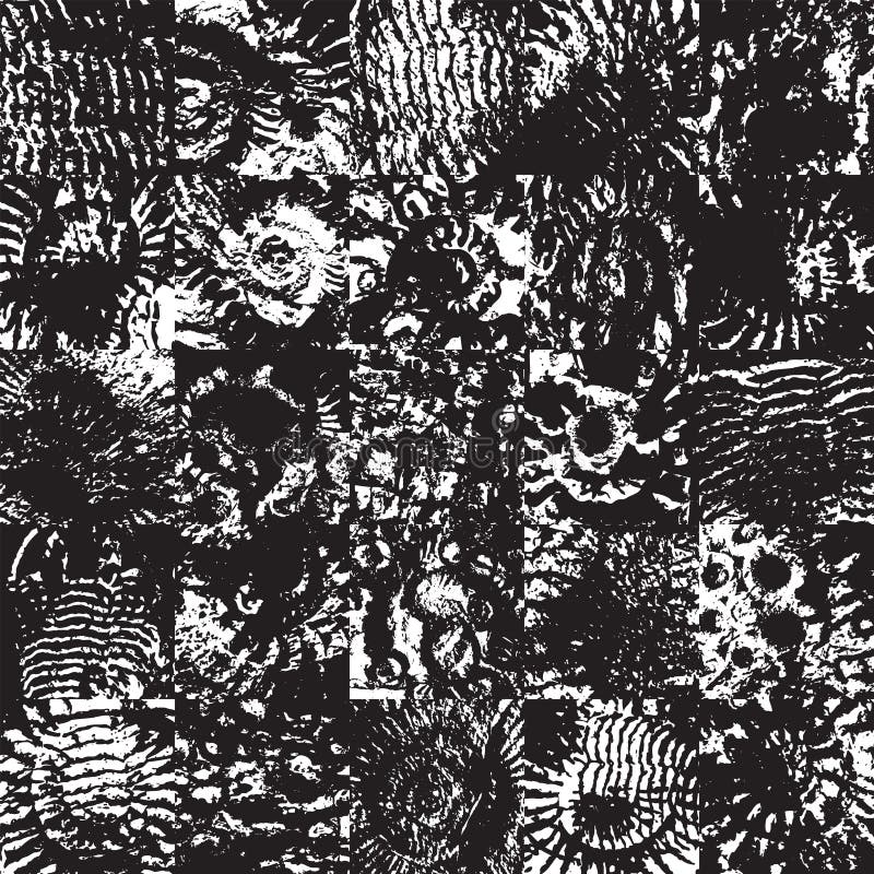 Vector abstact seamless pattern background with sea stone texture with imprints of shells of ancient ammonite shells. Suitable for wallpaper design, wrapping paper, fabric, ceramic tiles