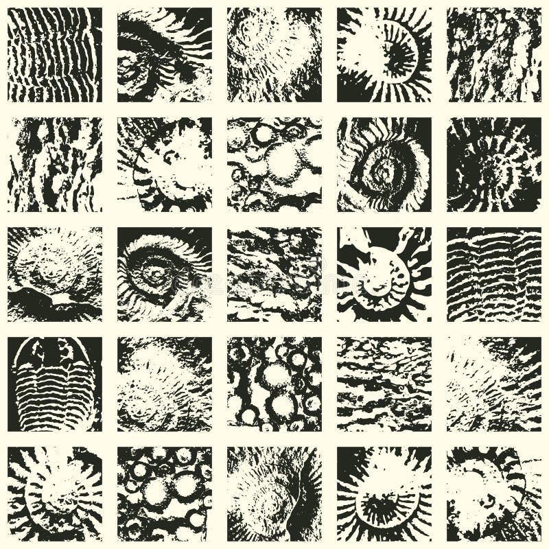 Abstact seamless pattern background with sea stone texture vector illustration