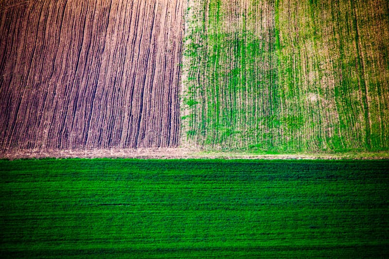 Abstract Aerial View of Agricultural Field in Spring Stock Photo ...