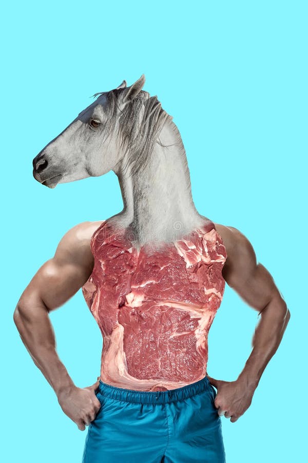 Abstract animal Art collage. A man with a head of a horse stock photos