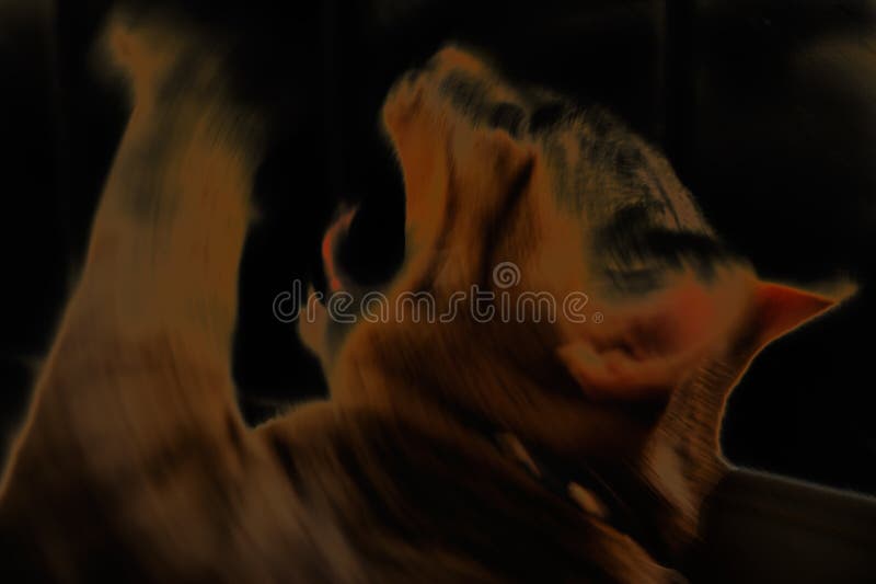 Abstract animal stock images