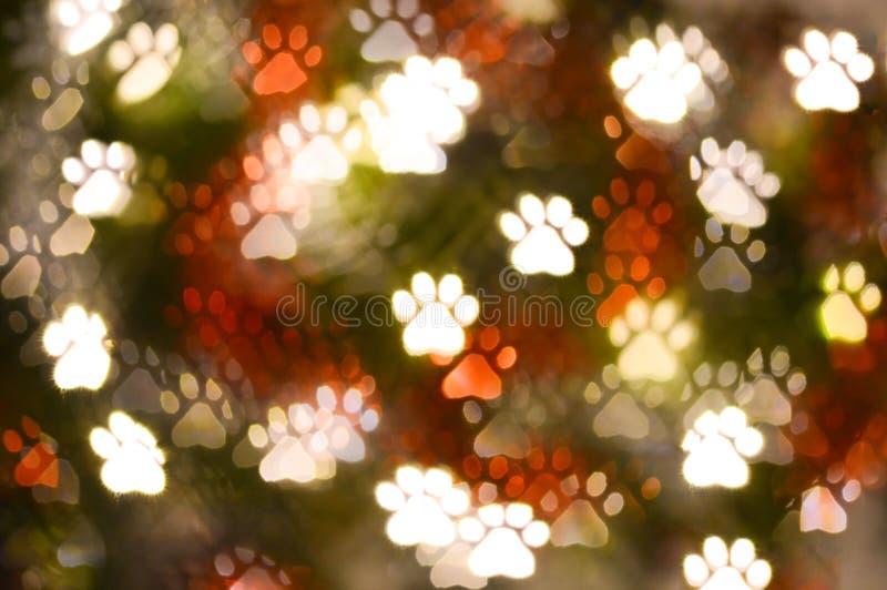 Abstract animal paw print shape bokeh for background stock photos