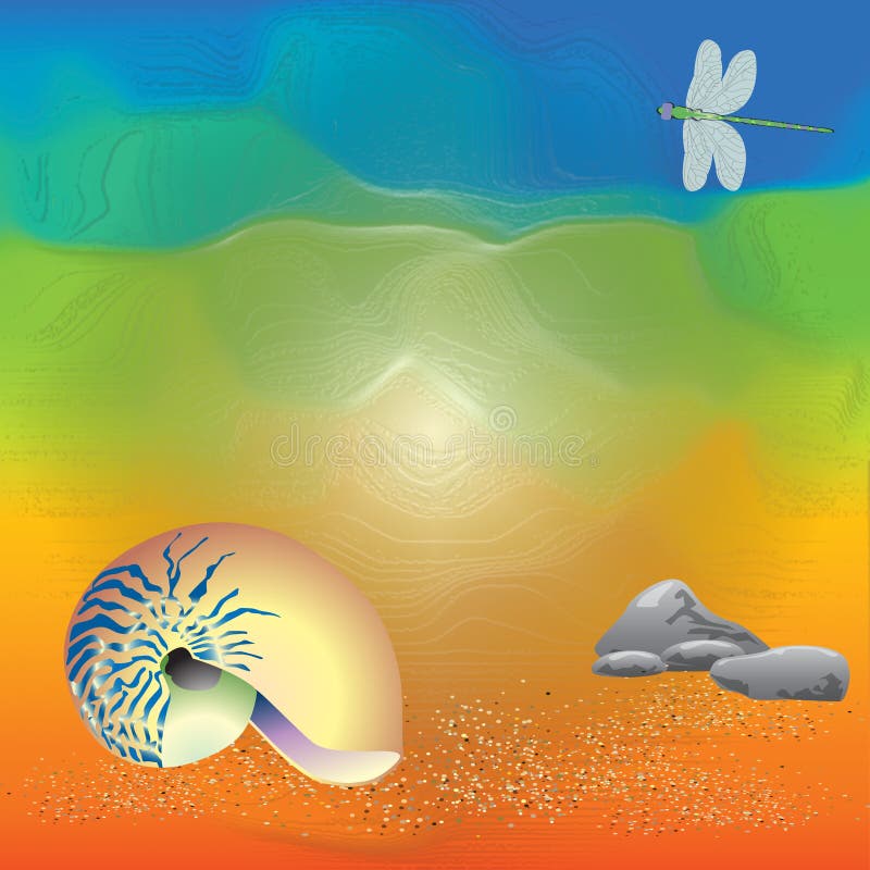 Abstract art of shell on the beach stock illustration