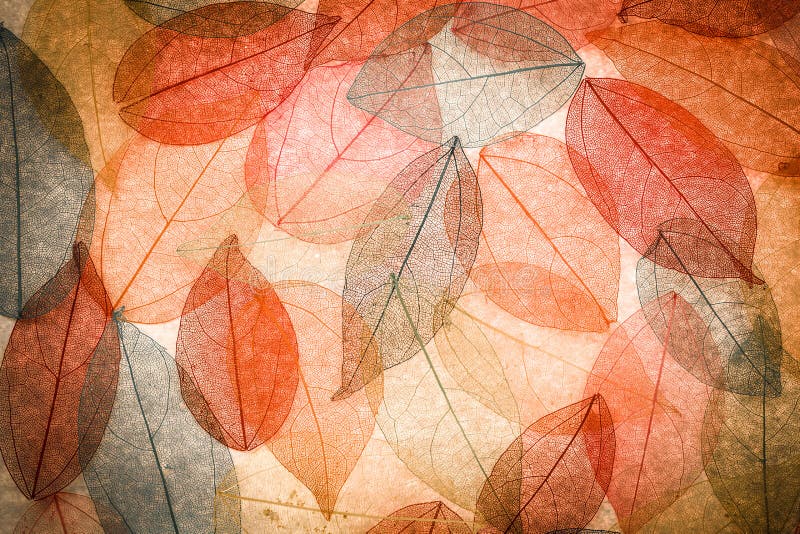 Abstract autumn background