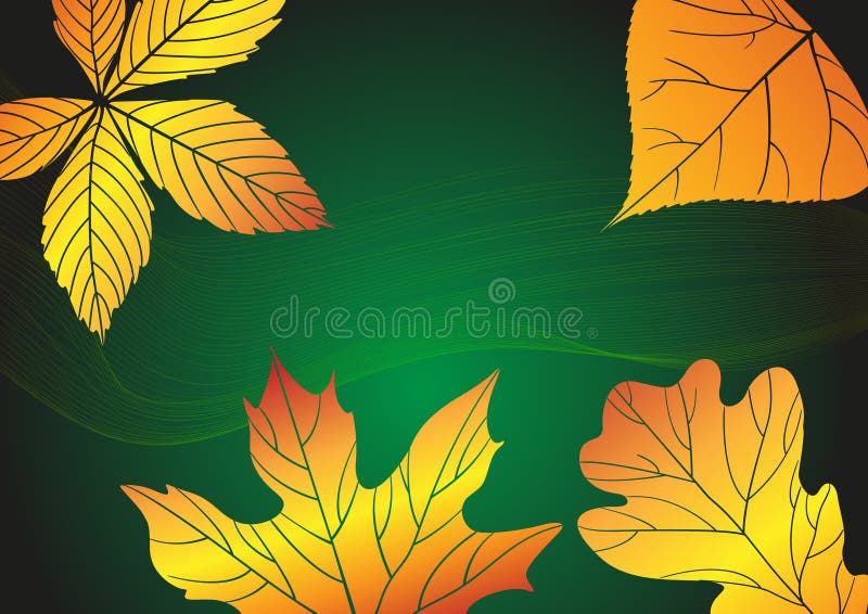 Abstract Autumn Background.