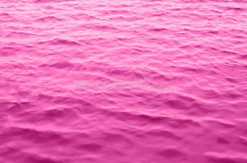 Abstract Background Closeup Sea of Pink Color. Stock Image - Image ...