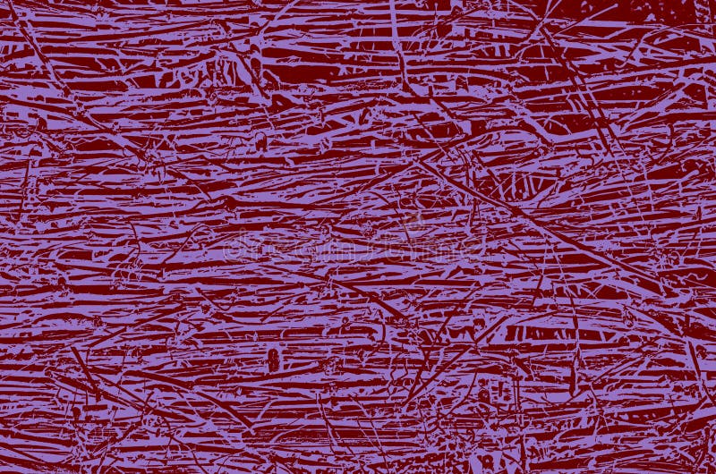 Abstract background consists of intertwined lines in crimson and blue colors. royalty free stock photo